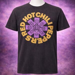Red Hot Chili Peppers Aztec Sun Band Logo Tee Shirt M